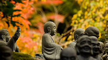nature-mood-religion-bokeh-garden-buddhism-- -for-android-mobile-full-screen-.jpg (1920Ã1080) | | Pinterest | ... HD wallpaper